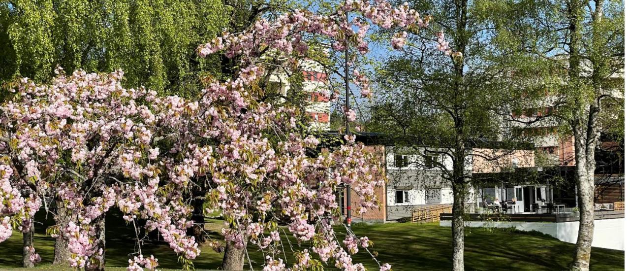 Emma Gjestehus Sandvika Exteriér fotografie